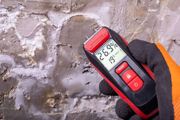 Best DIY Mold Remediation Support Services in Cape May Court House, NJ